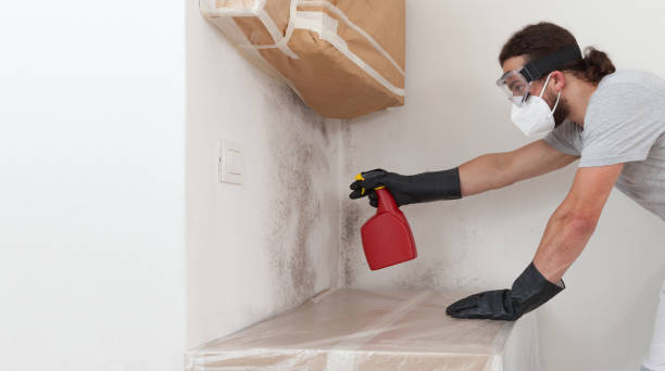 Professional Crawl Space Mold Remediation technician working in Parkton, MD